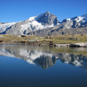 la Meije et lac Noir