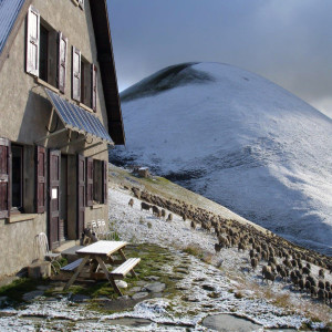 première neige